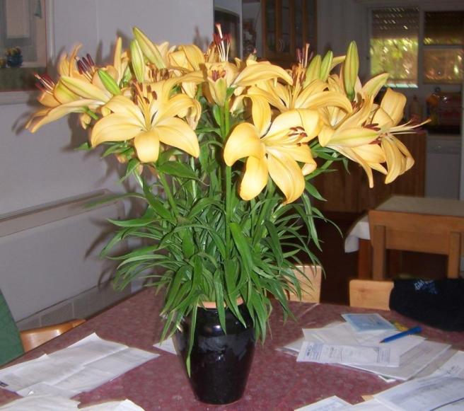 הפרחים שקיבלתי לכבוד החג - באדיבות גינגי